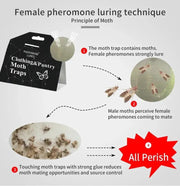 salelink.co.nz Unbranded 5PCS Clothing Pantry Moth Traps 5PCS Clothing Pantry Moth Traps | Action Outdoors NZ