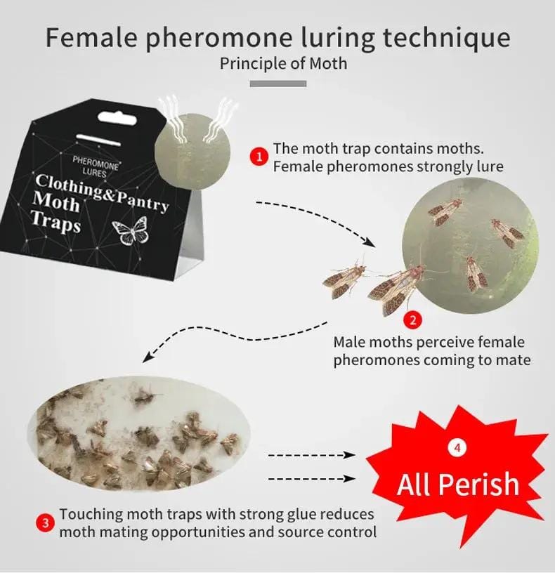 salelink.co.nz Unbranded 5PCS Clothing Pantry Moth Traps 5PCS Clothing Pantry Moth Traps | Action Outdoors NZ