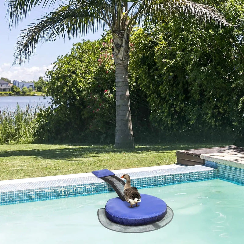 salelink.co.nz Unbranded Animal Saving Escape Ramp Animal Saving Escape Ramp | Action Outdoors NZ