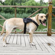 LARGE-BLACK Dog Harness Set Pet Adjustable Chest Strap Walking Collar Vest – view 3