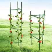 salelink.co.nz Unbranded Plant Support Stake Tomato Cage Plant Support Stake Tomato Cage | Action Outdoors NZ