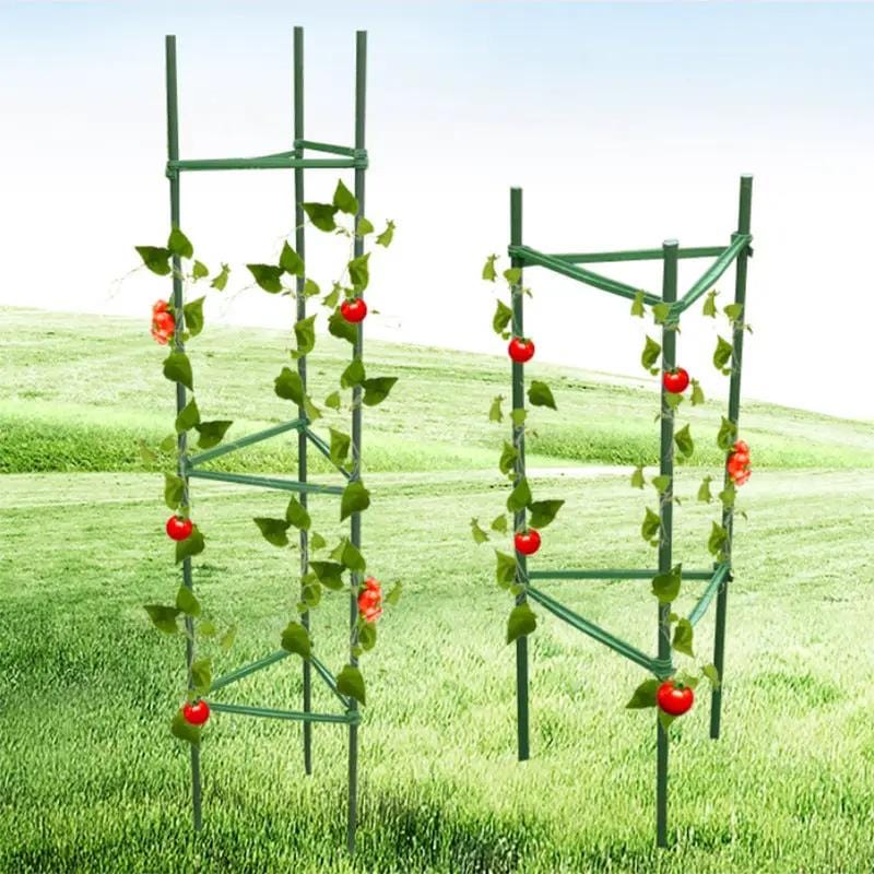 salelink.co.nz Unbranded Plant Support Stake Tomato Cage Plant Support Stake Tomato Cage | Action Outdoors NZ