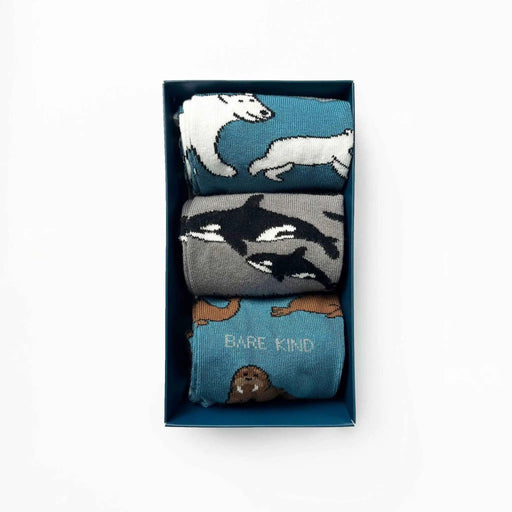 Barekind NZ Socks Arctic Animals Bamboo Socks Gift Box of 3 Arctic Animals Bamboo Socks Gift Box of 3