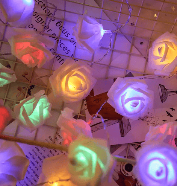 3Meters 30LED Rose Flower String Lights – view 5