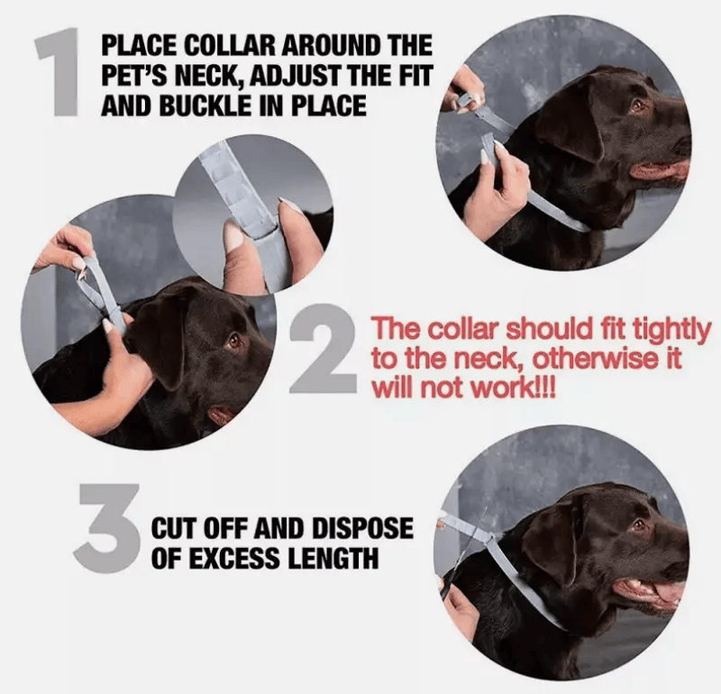 Flea and Tick Collar for Dogs Size 63.5cm – view 3