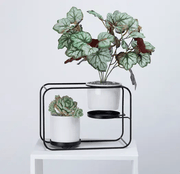 salelink.co.nz salelink.co.nz Flower Pot Ceramic Planter Rack Holder Shlef Flower Pot Ceramic Planter Rack Holder Shlef - NZ