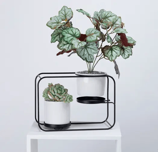salelink.co.nz salelink.co.nz Flower Pot Ceramic Planter Rack Holder Shlef Flower Pot Ceramic Planter Rack Holder Shlef - NZ