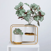 salelink.co.nz salelink.co.nz Flower Pot Ceramic Planter Rack Holder Shlef Flower Pot Ceramic Planter Rack Holder Shlef - NZ