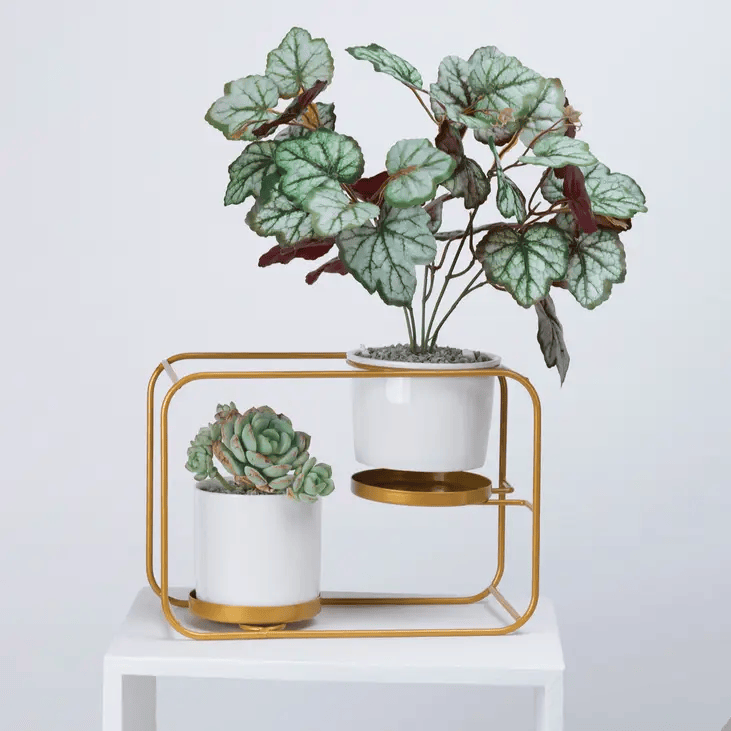 salelink.co.nz salelink.co.nz Flower Pot Ceramic Planter Rack Holder Shlef Flower Pot Ceramic Planter Rack Holder Shlef - NZ