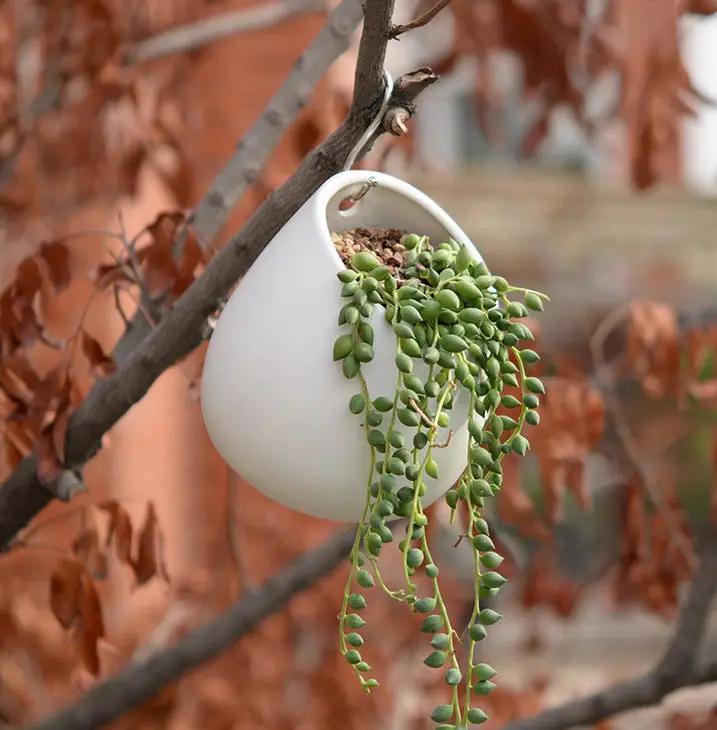 salelink.co.nz Unbranded White Plant Pot Ceramic Planter White Plant Pot Ceramic Planter | Action Outdoors NZ