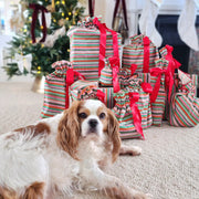 Waste Free Celebrations Fabric Gift Bags Fiesta (Reusable Gift Bag Set) Fiesta (Reusable Gift Bag Set)