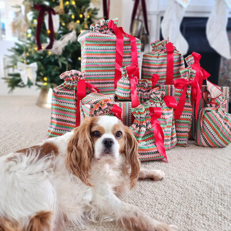 Waste Free Celebrations Fabric Gift Bags Fiesta (Reusable Gift Bag Set) Fiesta (Reusable Gift Bag Set)