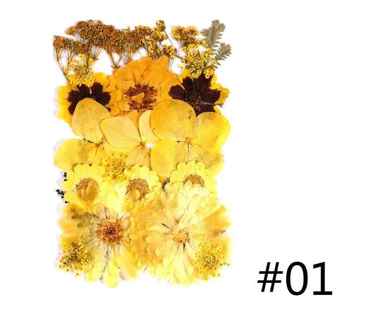 Resin Art NZ Real Dried Flower Real Dried Flower - Sealed in Pocket Pack Real Dried Flower - Sealed in Pocket Pack | NZ