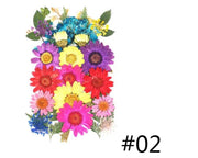 Resin Art NZ Real Dried Flower Real Dried Flower - Sealed in Pocket Pack Real Dried Flower - Sealed in Pocket Pack | NZ