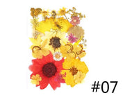 Resin Art NZ Real Dried Flower Real Dried Flower - Sealed in Pocket Pack Real Dried Flower - Sealed in Pocket Pack | NZ