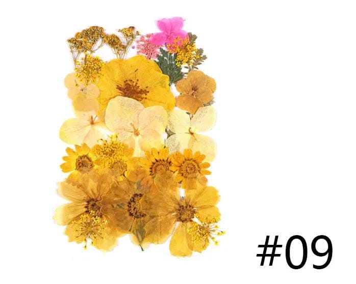 Resin Art NZ Real Dried Flower Real Dried Flower - Sealed in Pocket Pack Real Dried Flower - Sealed in Pocket Pack | NZ