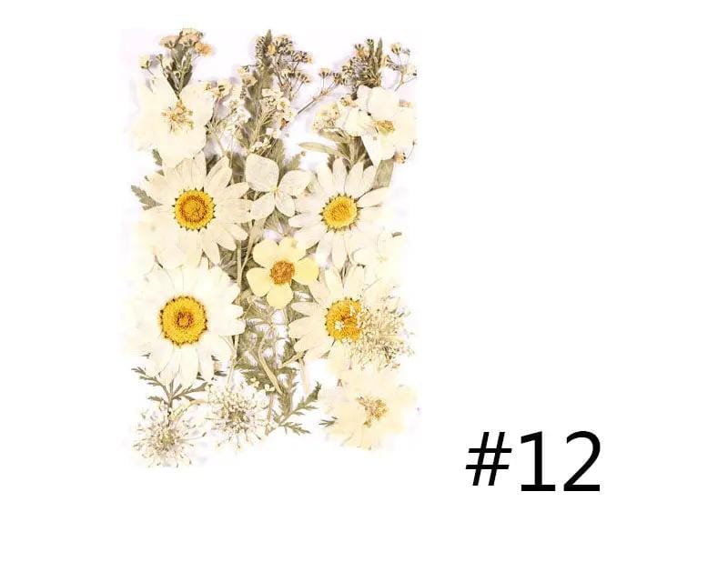Resin Art NZ Real Dried Flower Real Dried Flower - Sealed in Pocket Pack Real Dried Flower - Sealed in Pocket Pack | NZ