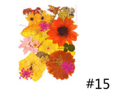 Resin Art NZ Real Dried Flower Real Dried Flower - Sealed in Pocket Pack Real Dried Flower - Sealed in Pocket Pack | NZ