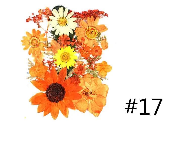 Resin Art NZ Real Dried Flower Real Dried Flower - Sealed in Pocket Pack Real Dried Flower - Sealed in Pocket Pack | NZ