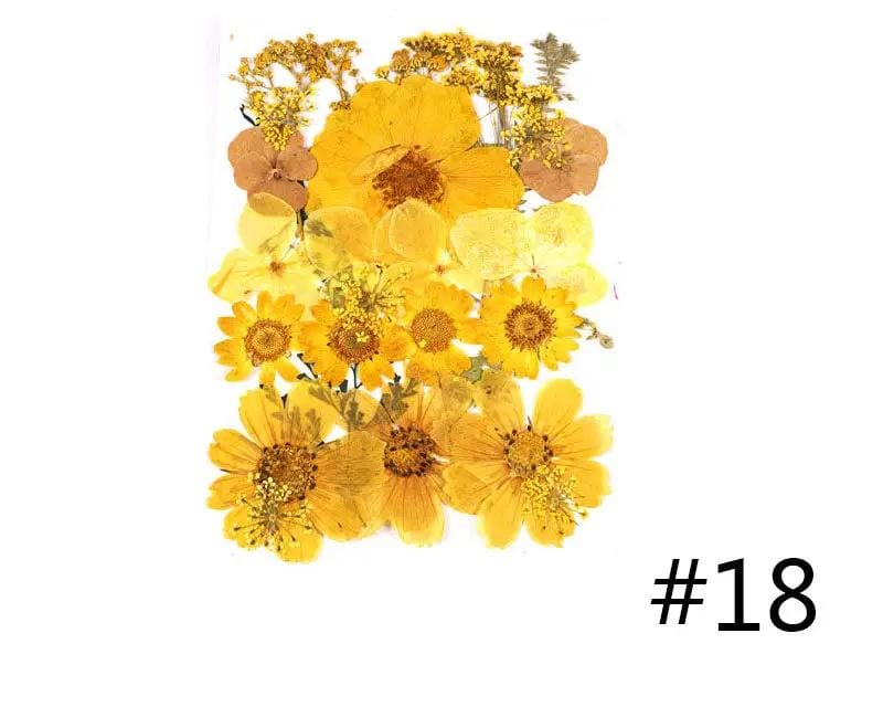 Resin Art NZ Real Dried Flower Real Dried Flower - Sealed in Pocket Pack Real Dried Flower - Sealed in Pocket Pack | NZ