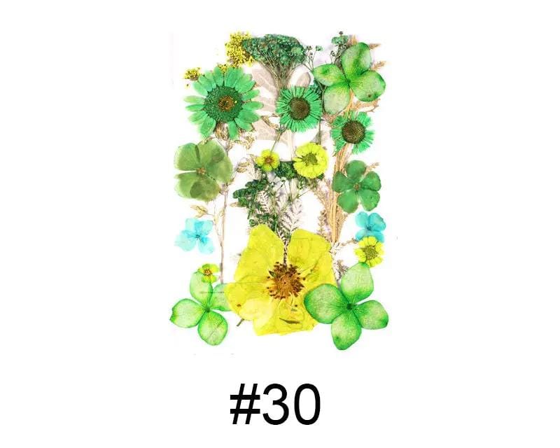 Resin Art NZ Real Dried Flower Real Dried Flower - Sealed in Pocket Pack Real Dried Flower - Sealed in Pocket Pack | NZ