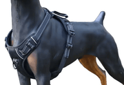 M-BLACK Dog Harness Set Pet Adjustable Chest Strap Walking Collar Vest – view 1