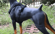 M-BLACK Dog Harness Set Pet Adjustable Chest Strap Walking Collar Vest – view 2