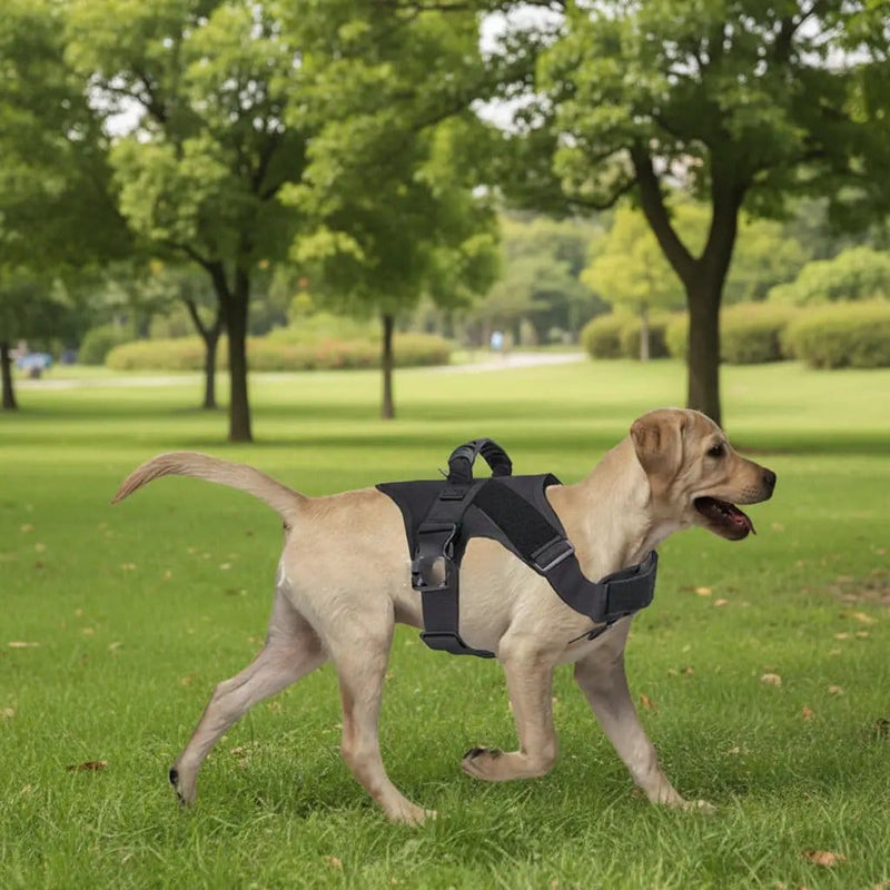 Tactical Dog Harness Training Walking Collar Vest Pet Adjustable Chest Strap – view 1