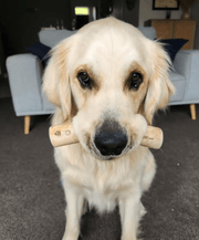 DogTreatNZ Coffee Wood Chews For Dogs Natural Dental Tooth Cleaning Treats Coffee Wood Dog Chews Natural Dental Treats