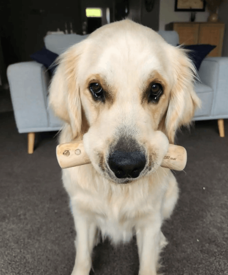 DogTreatNZ Coffee Wood Chews For Dogs Natural Dental Tooth Cleaning Treats Coffee Wood Dog Chews Natural Dental Treats