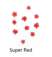 Resin Art NZ Dried Flower Real Dried Flower -  Small Daffodil Real Dried Flower -  Small Daffodil | NZ