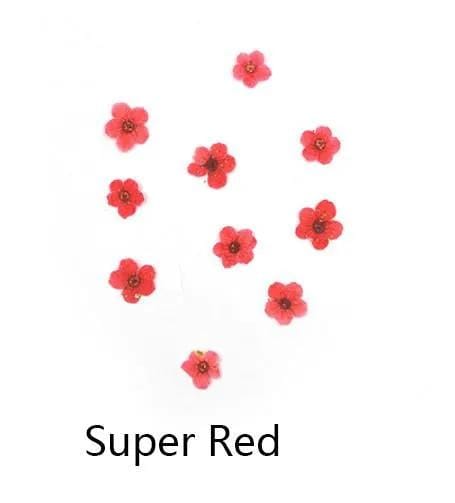 Resin Art NZ Dried Flower Real Dried Flower -  Small Daffodil Real Dried Flower -  Small Daffodil | NZ