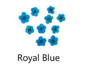 Resin Art NZ Dried Flower Real Dried Flower -  Small Daffodil Real Dried Flower -  Small Daffodil | NZ