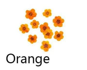 Resin Art NZ Dried Flower Real Dried Flower -  Small Daffodil Real Dried Flower -  Small Daffodil | NZ