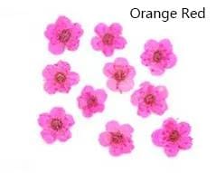 Resin Art NZ Dried Flower Real Dried Flower -  Small Daffodil Real Dried Flower -  Small Daffodil | NZ