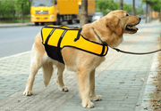 Dog Life Jackets, Reflective & Adjustable Preserver Vest with Enhanced Buoyancy – view 3