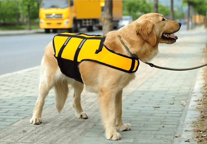 Dog Life Jackets, Reflective & Adjustable Preserver Vest with Enhanced Buoyancy – view 3
