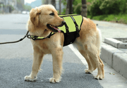 Dog Life Jackets, Reflective &amp; Adjustable Preserver Vest with Enhanced Buoyancy – view 1