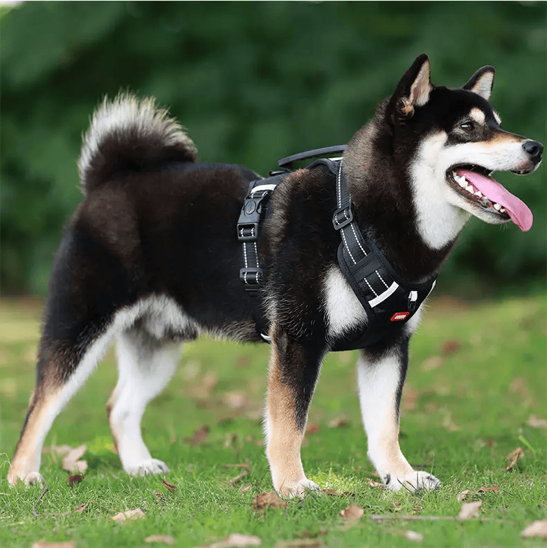 Dog Harness Set Pet Adjustable Chest Strap Walking Collar Vest – view 1