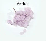 Resin Art NZ Tinted Flower Tinted Flower Tinted Flower | NZ