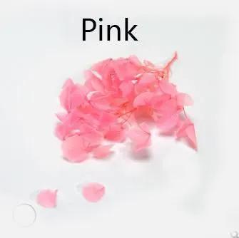 Resin Art NZ Tinted Flower Tinted Flower Tinted Flower | NZ