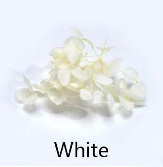 Resin Art NZ Tinted Flower Tinted Flower Tinted Flower | NZ