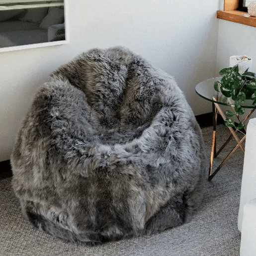 Classic Sheepskins Accessories Bean Bag Bean Bag