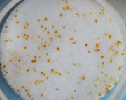Silica Gel Flower Drying Crystals Indicator - 450g – view 2
