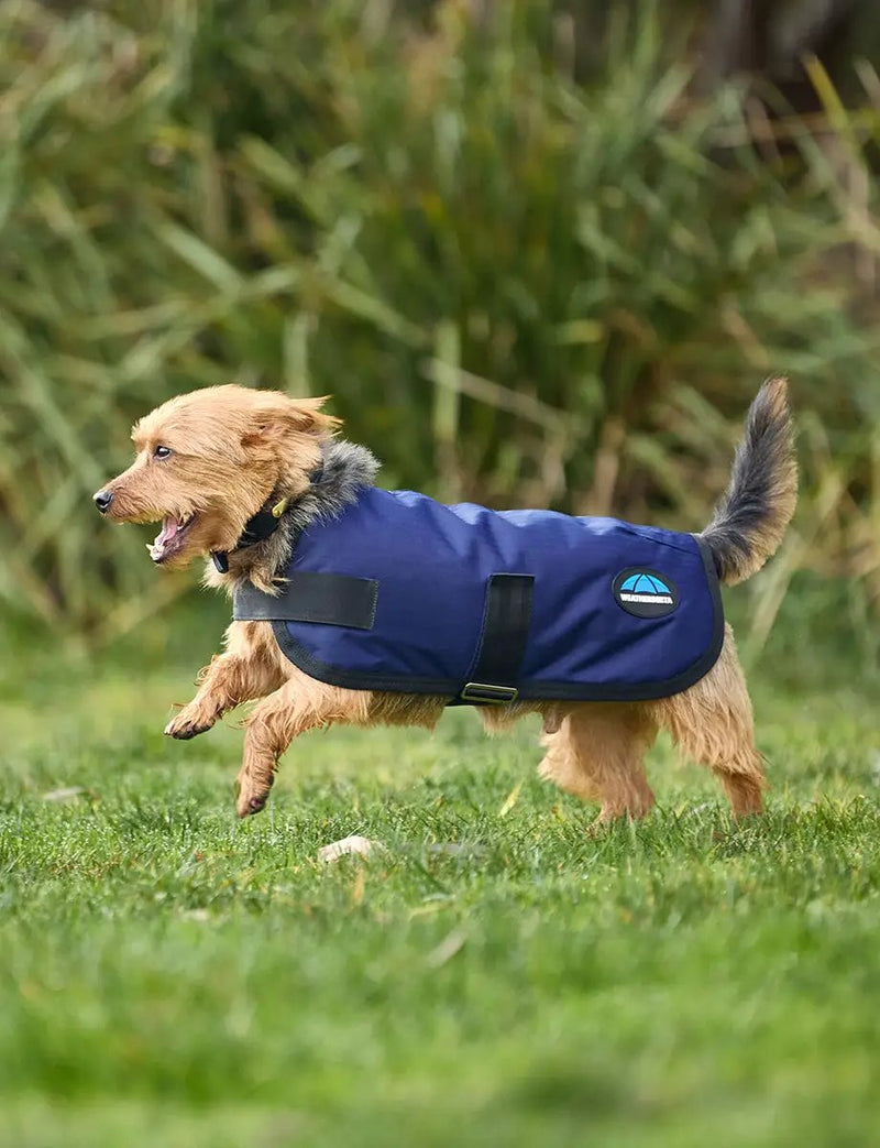 WeatherBeeta Outdoor coats WeatherBeeta ComFiTec Classic Waterproof Dog Coat WeatherBeeta ComFiTec Classic Waterproof Dog Coat