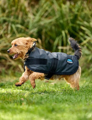 WeatherBeeta Outdoor coats WeatherBeeta ComFiTec Classic Waterproof Dog Coat WeatherBeeta ComFiTec Classic Waterproof Dog Coat