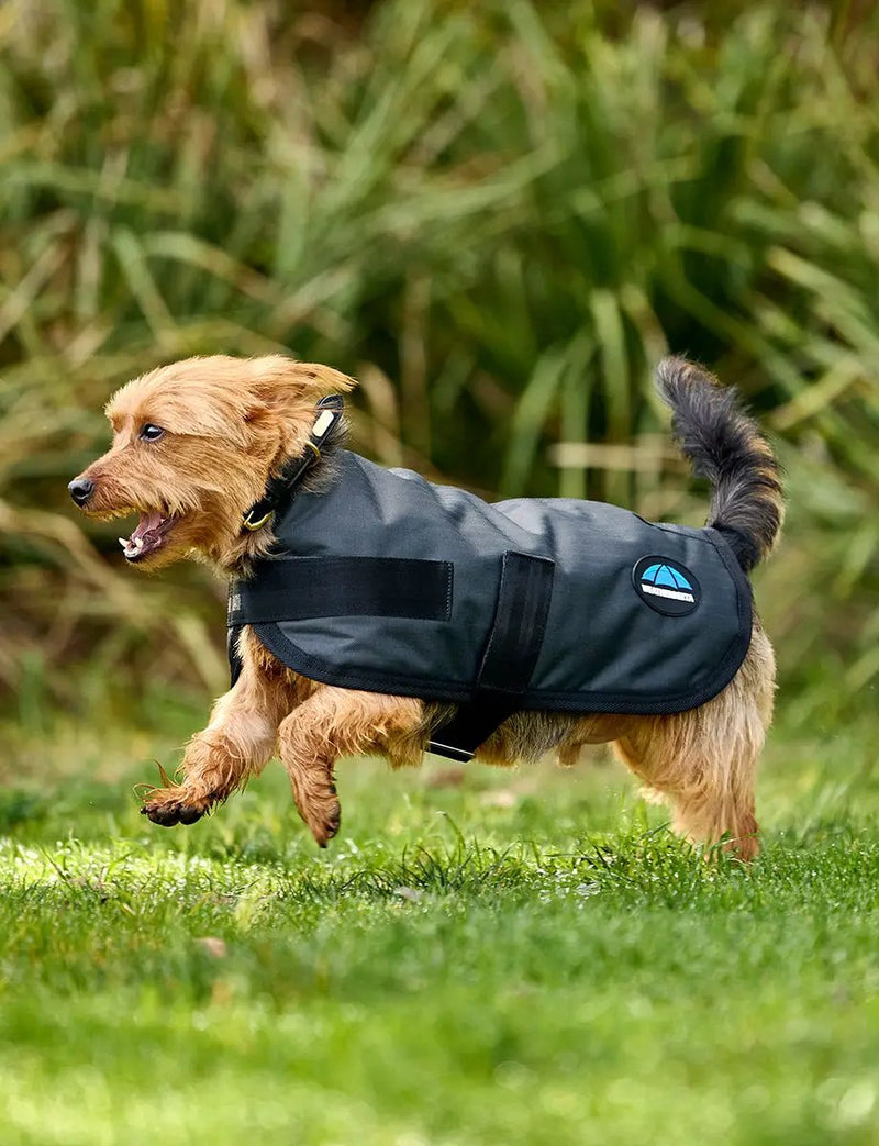 WeatherBeeta Outdoor coats WeatherBeeta ComFiTec Classic Waterproof Dog Coat WeatherBeeta ComFiTec Classic Waterproof Dog Coat