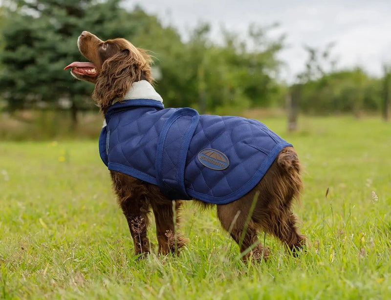 WeatherBeeta Clearance WeatherBeeta ComFiTec Deluxe Diamond Quilt Dog Coat WeatherBeeta ComFiTec Deluxe Diamond Quilt Dog Coat