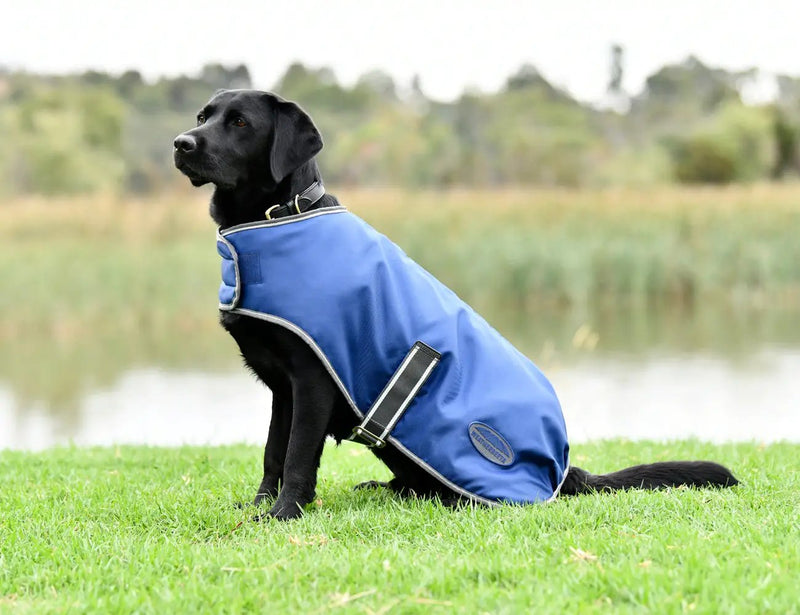 WeatherBeeta Outdoor coats WeatherBeeta ComFiTec Windbreaker Free Dog Coat WeatherBeeta ComFiTec Windbreaker Free Dog Coat