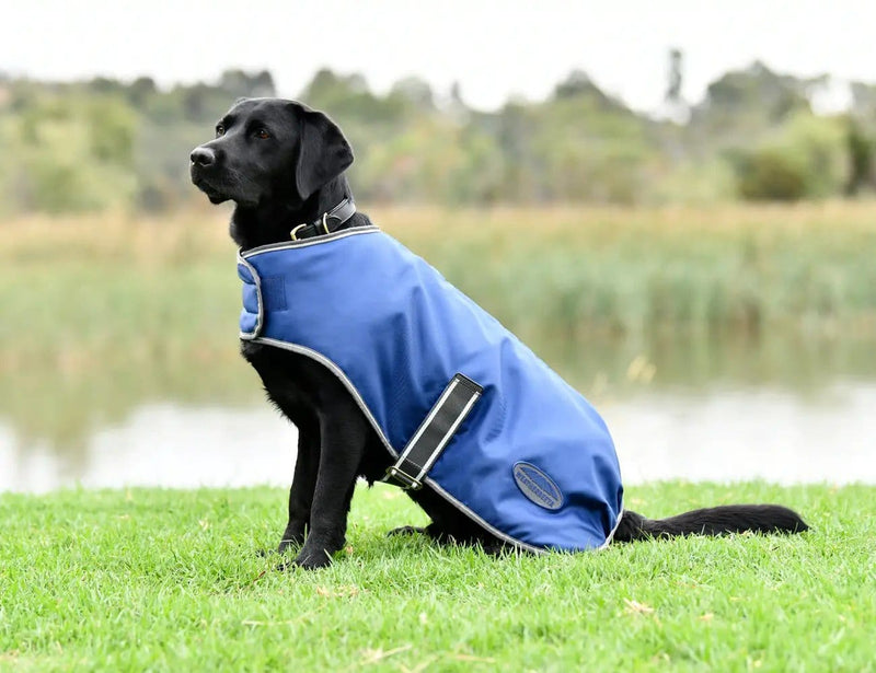 WeatherBeeta Outdoor coats WeatherBeeta ComFiTec Windbreaker Free Dog Coat WeatherBeeta ComFiTec Windbreaker Free Dog Coat